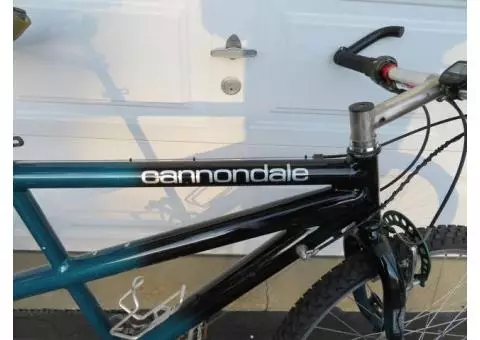 Cannondale Tandem Bike